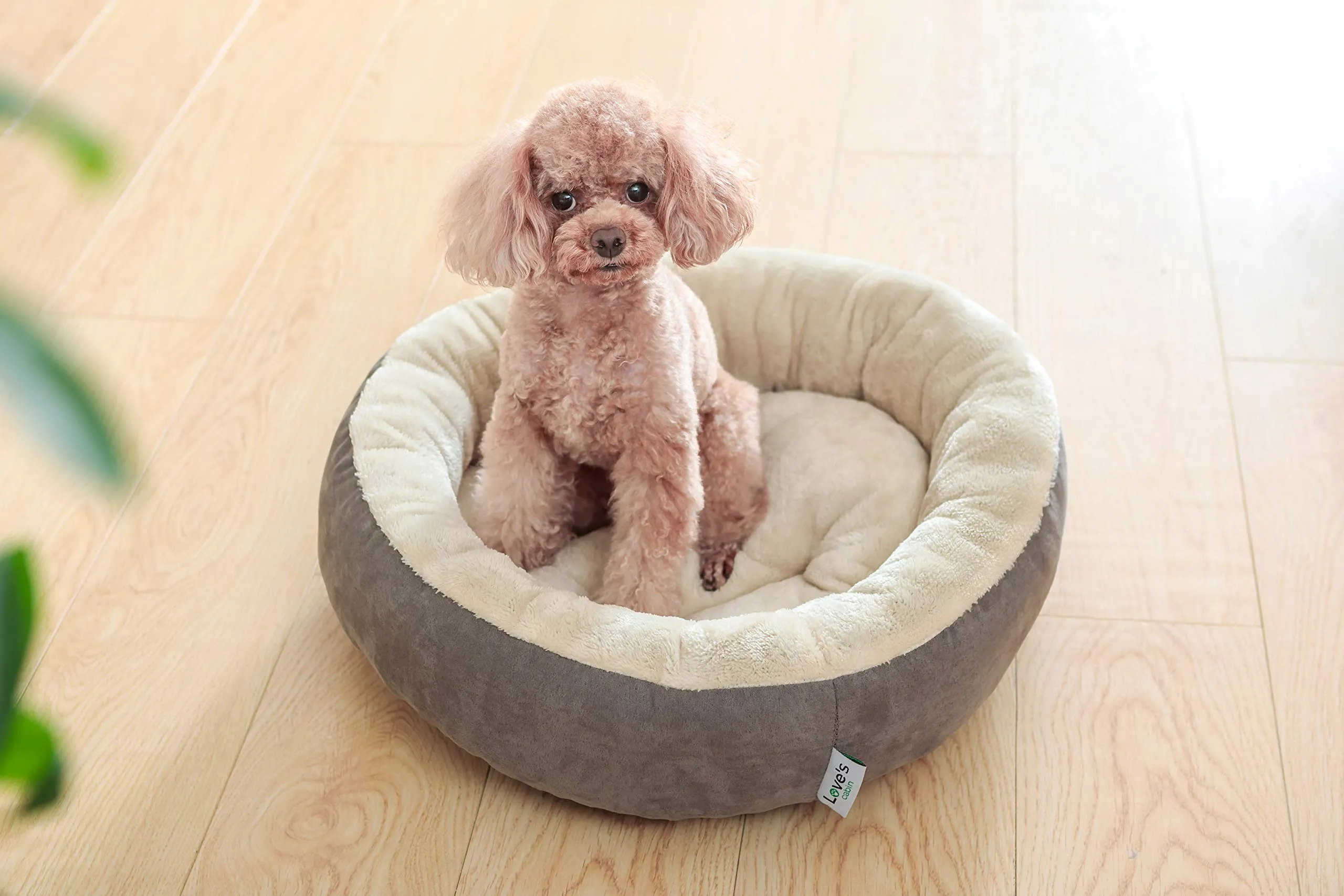 20" Donut Pet Bed - Grey