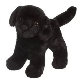 Abraham Black Lab