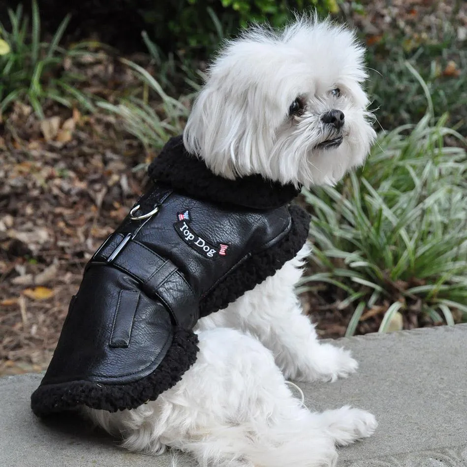 Black Top Dog Flight Coat With Leash XLarge