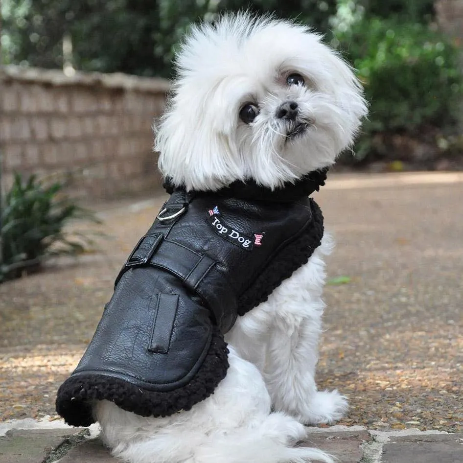 Black Top Dog Flight Coat With Leash XLarge