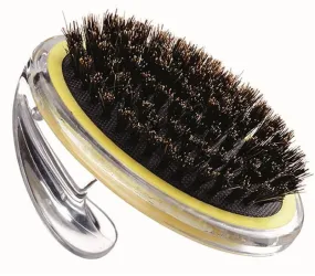 Brush Bristle Pet