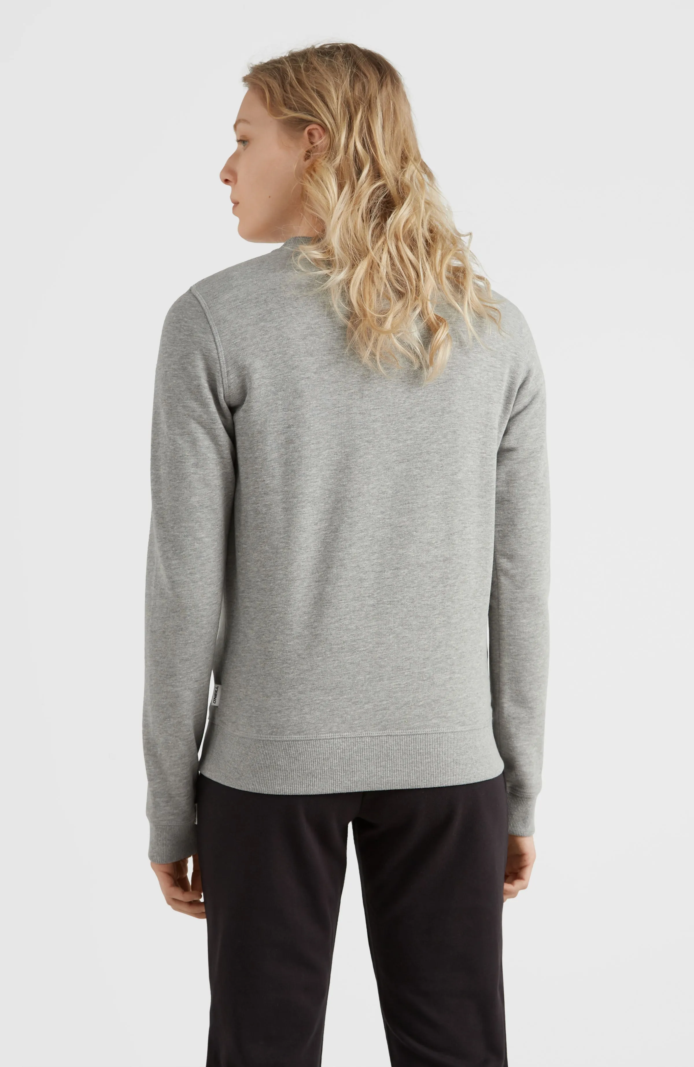 Circle Surfer Crew Sweatshirt | Silver Melee