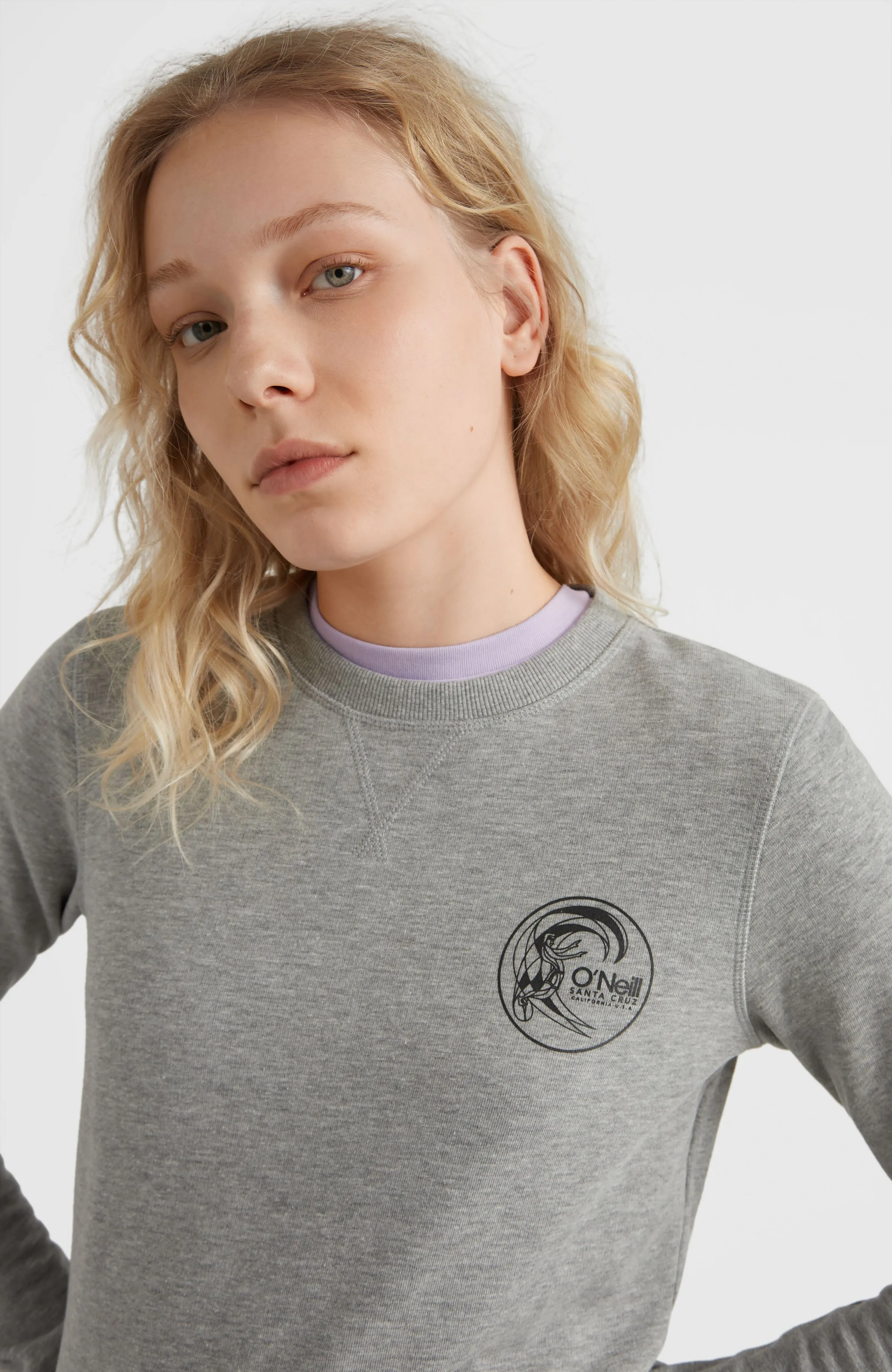 Circle Surfer Crew Sweatshirt | Silver Melee