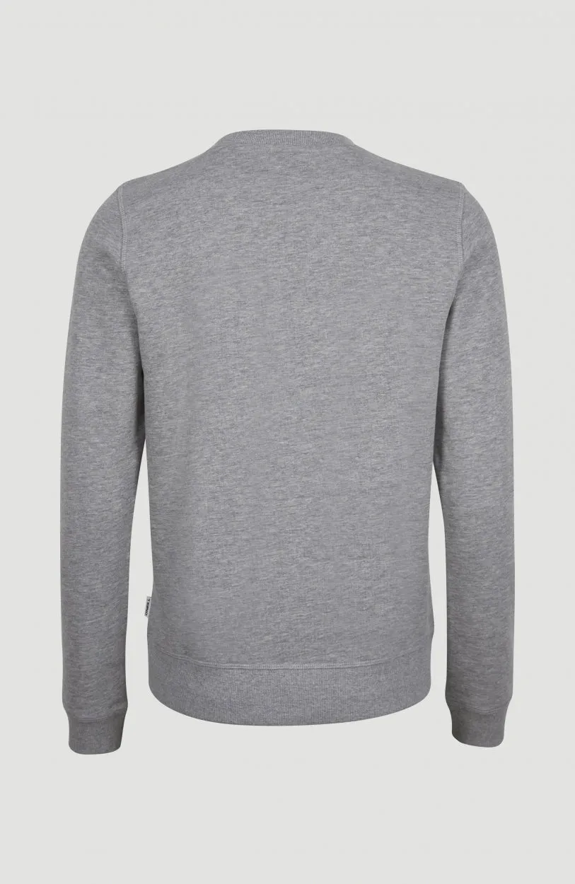 Circle Surfer Crew Sweatshirt | Silver Melee