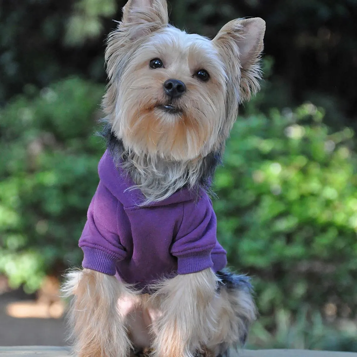 Flex-Fit Dog Hoodie Purple