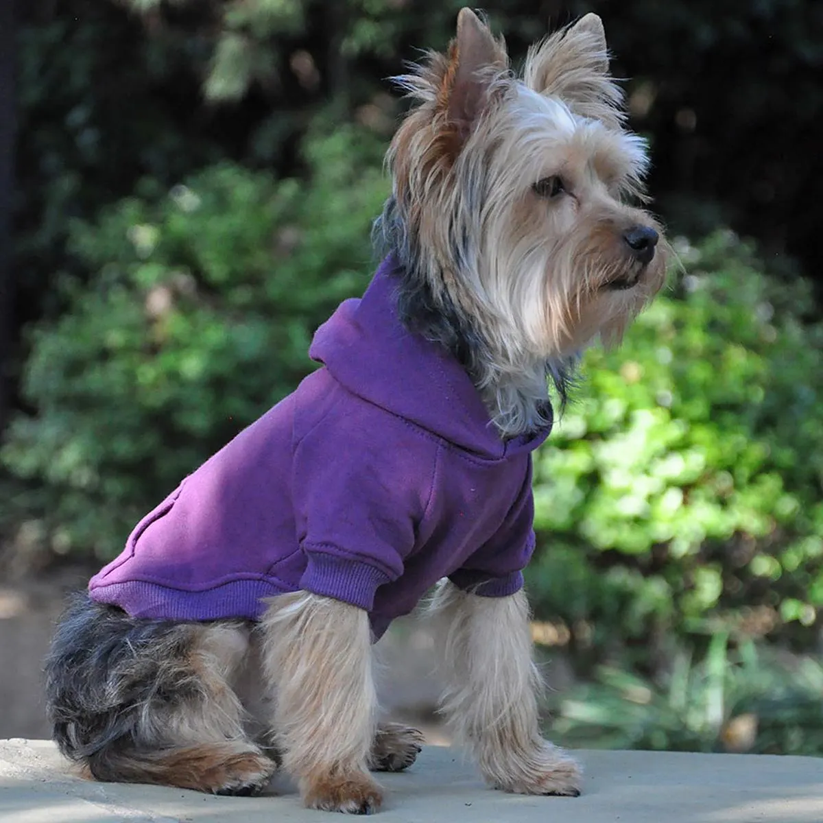 Flex-Fit Dog Hoodie Purple