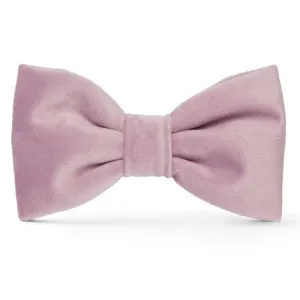 Foggy Dog Lilac Velvet Dog Bow Tie