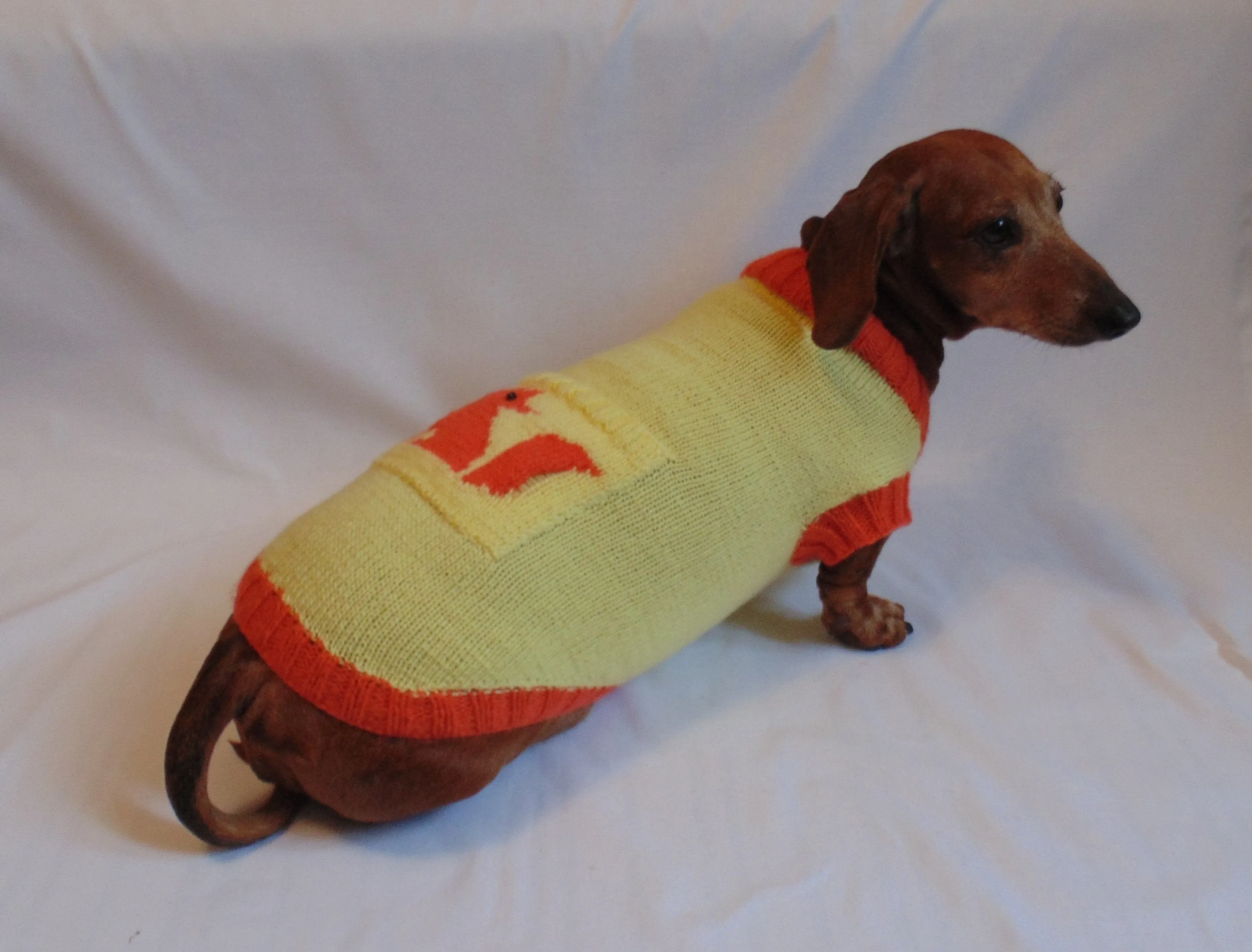 Fox sweater for dachshund, dachshund costume, dachshund clothing