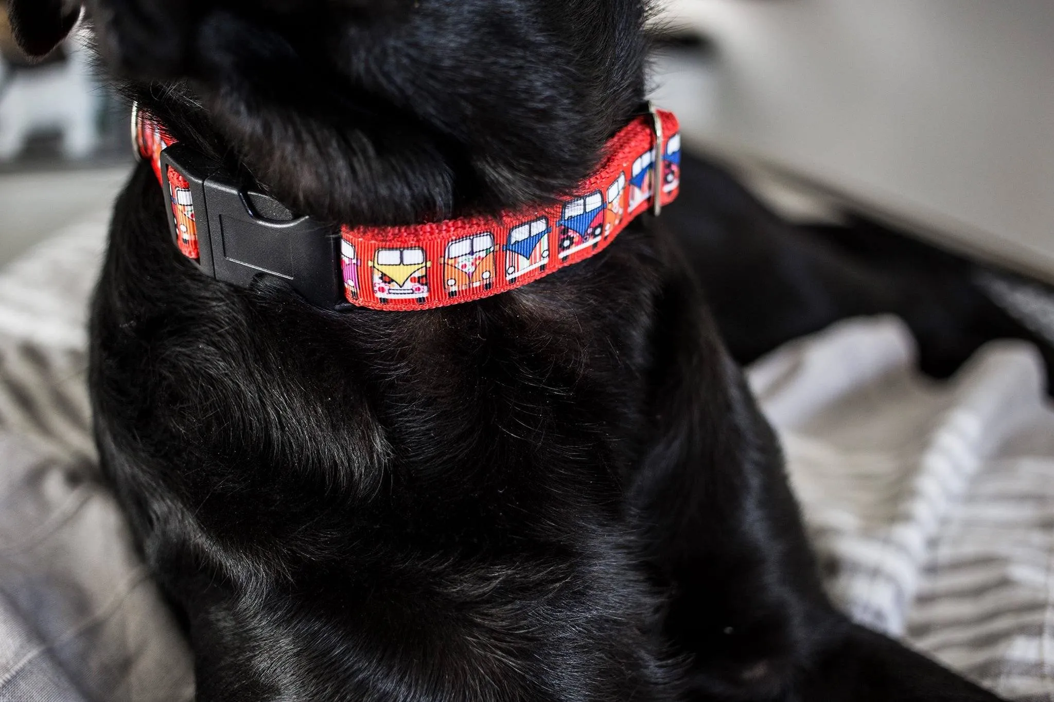 Hippie Van Dog Collar