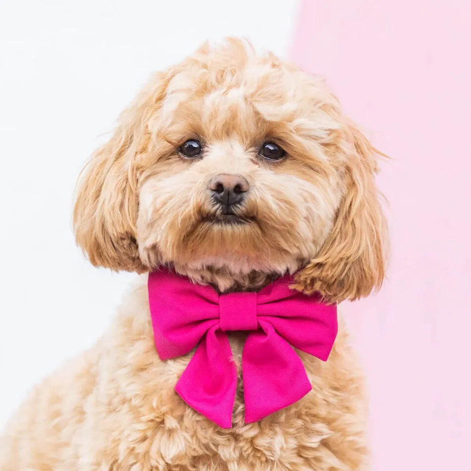 Hot Pink Lady Dog Bow