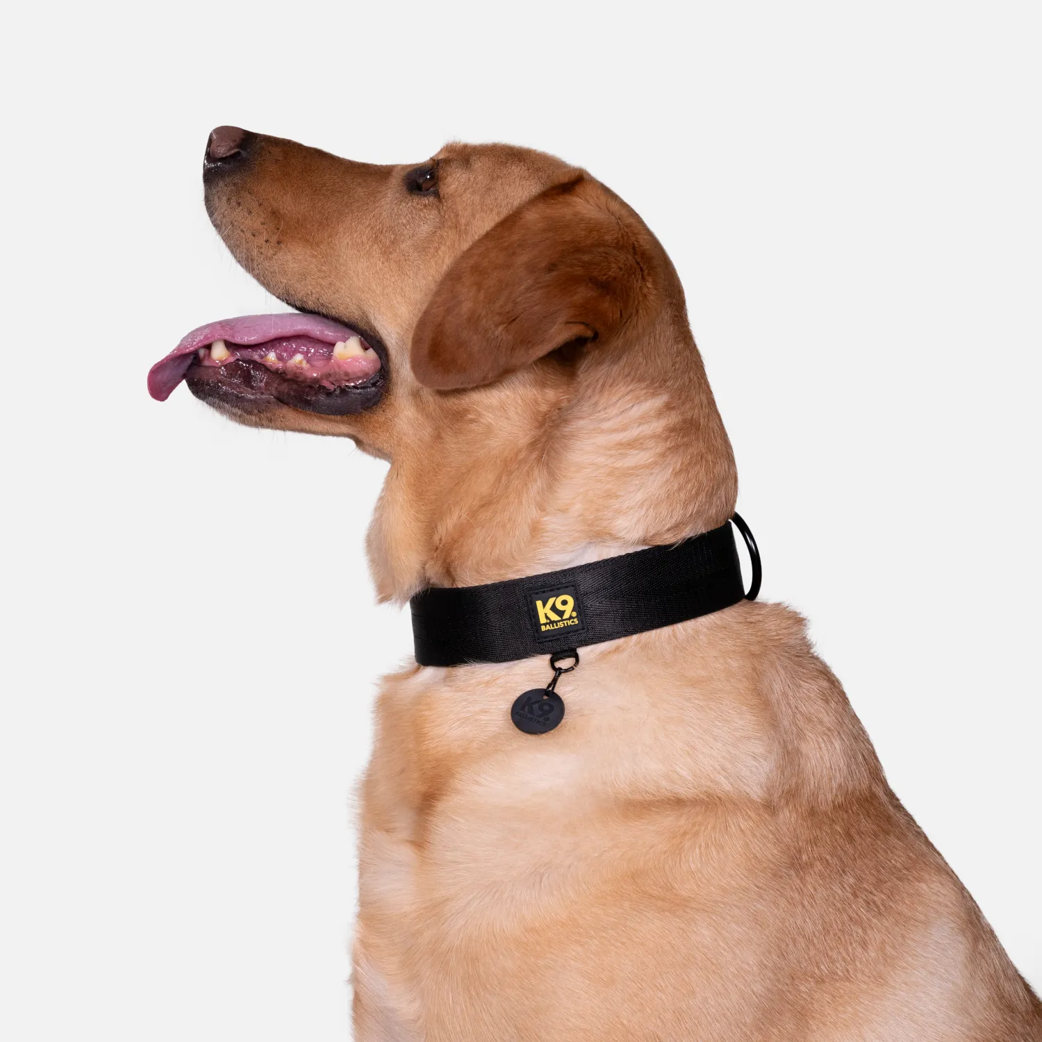 K9 Pro™ Dog Collar