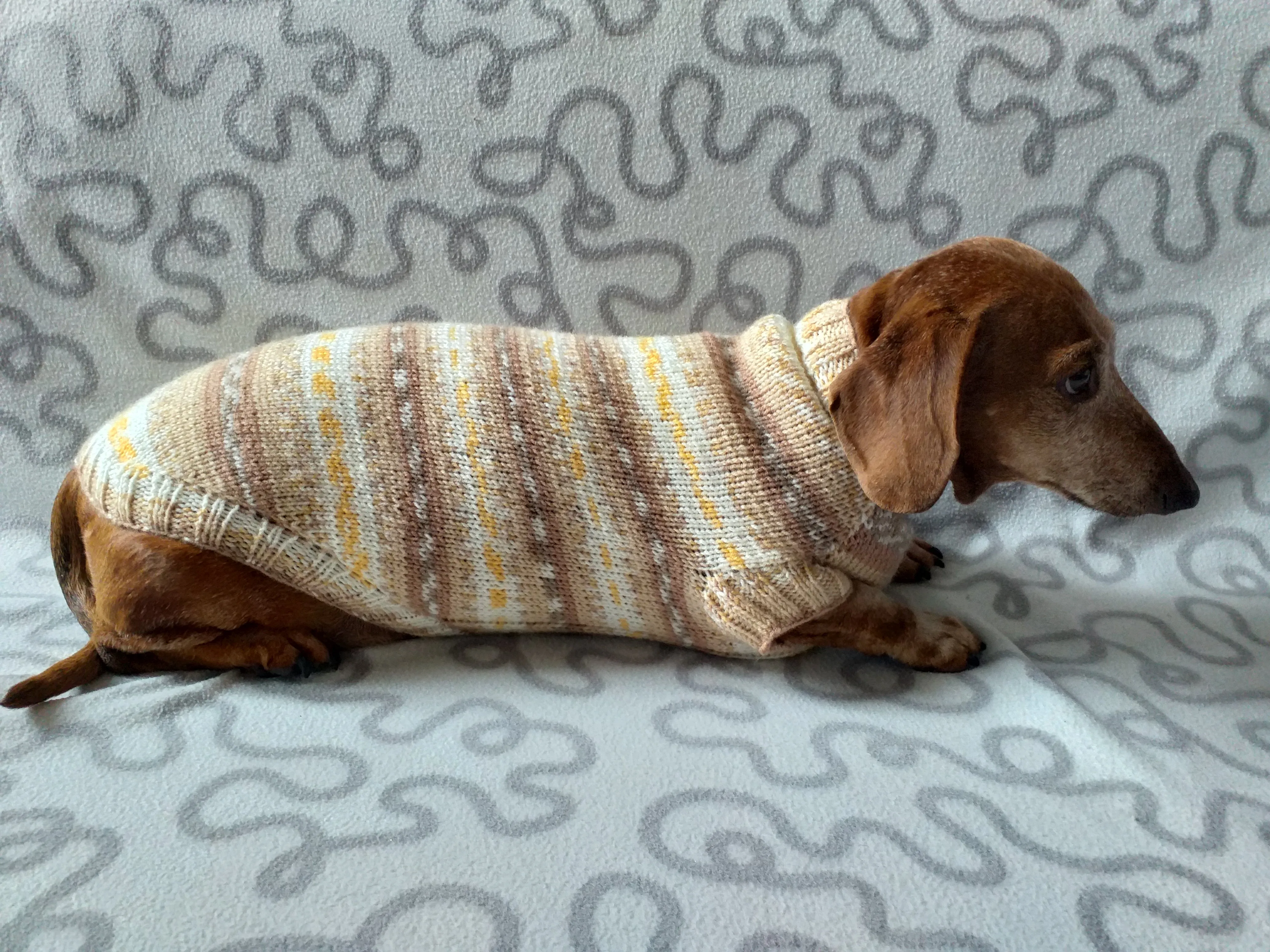 Knitted clothes dachshund sweater, dachshund clothes, dachshund sweater, doxie clothes