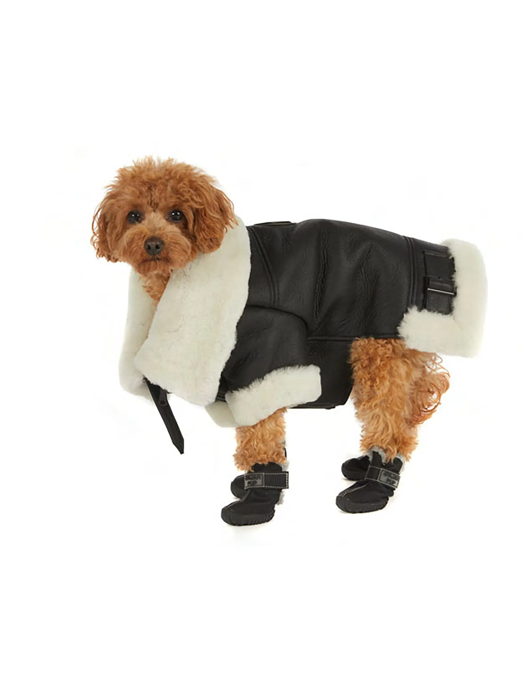 Preston Luxury Faux Shearling Coat for Dogs