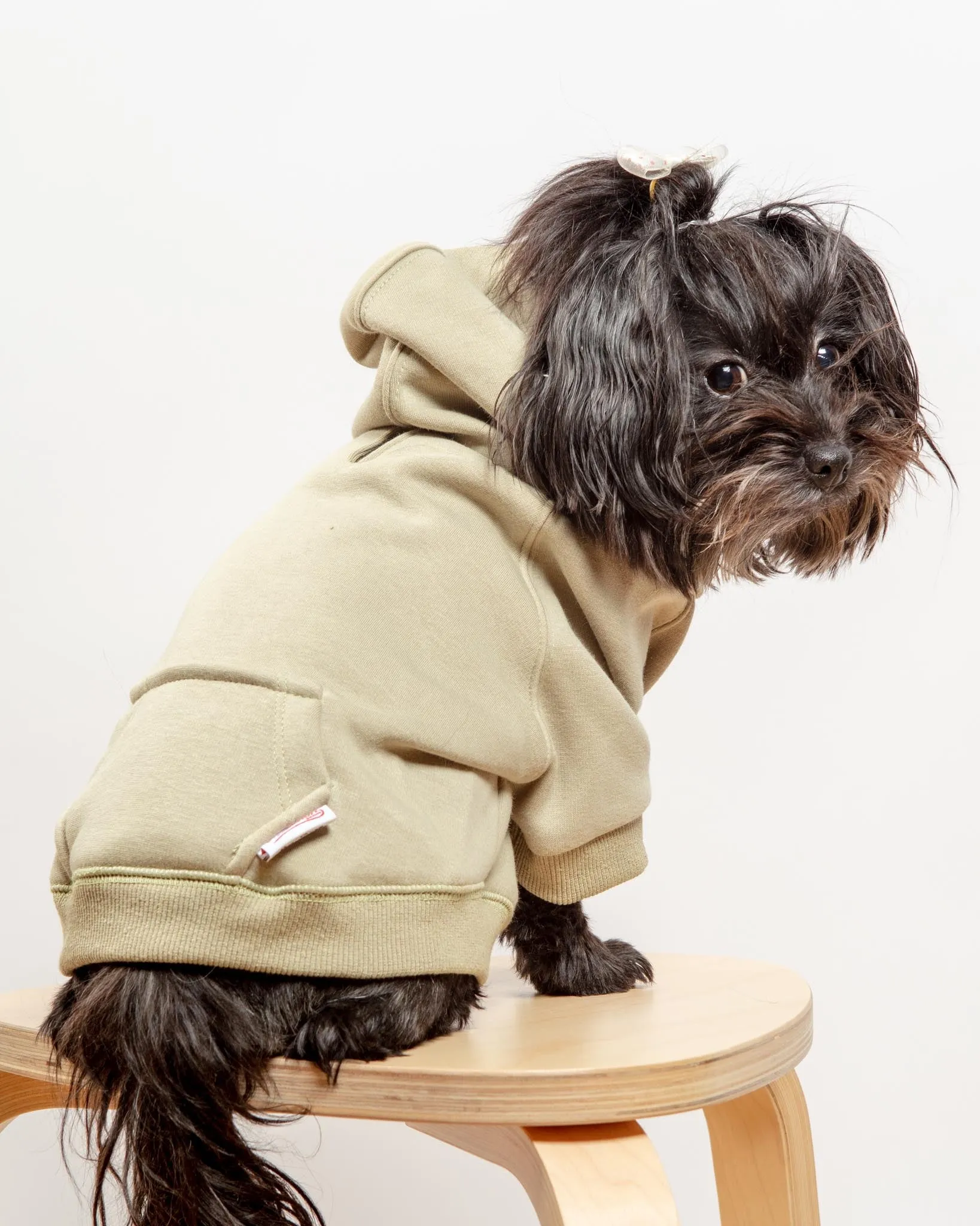 Pullover Dog Hoodie in Sage (FINAL SALE)