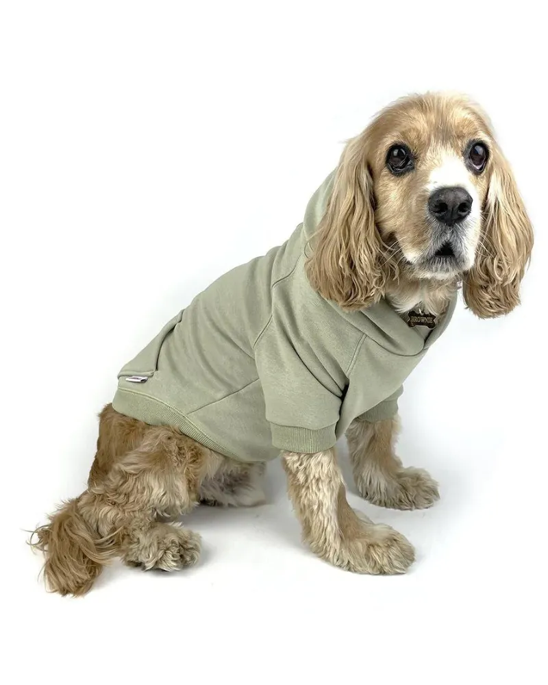 Pullover Dog Hoodie in Sage (FINAL SALE)