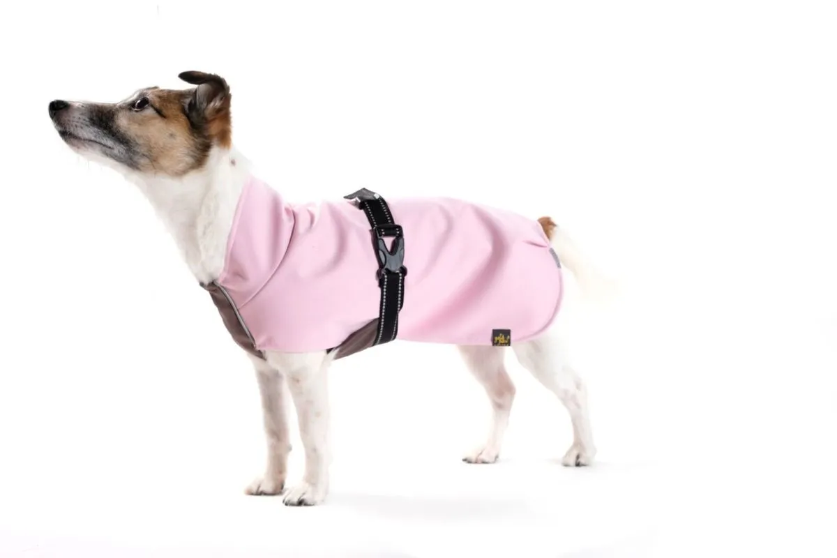 Rain Paw Dog Jacket