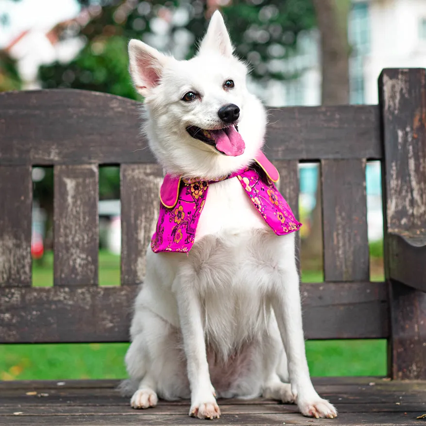 Spring Of Blossoms in Fuchsia CNY Cape