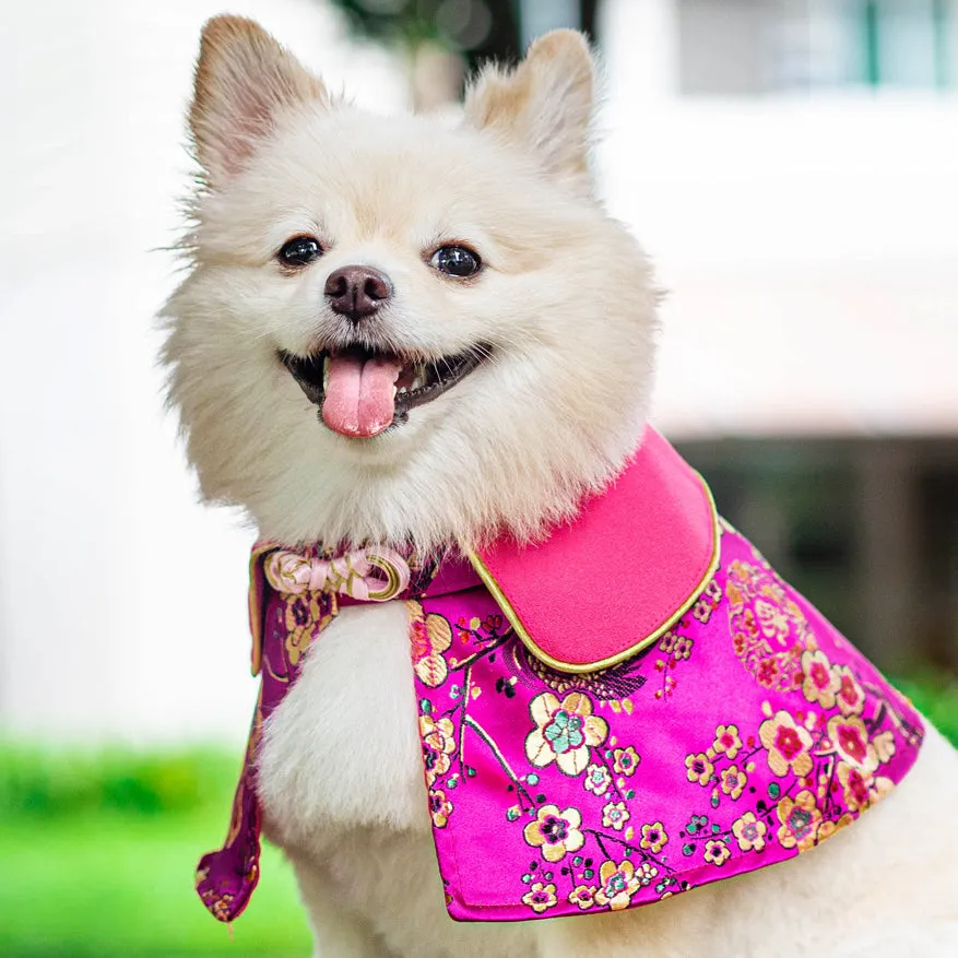 Spring Of Blossoms in Fuchsia CNY Cape