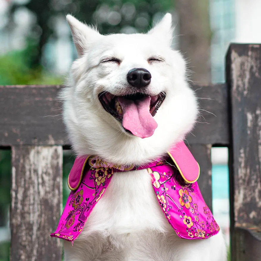 Spring Of Blossoms in Fuchsia CNY Cape