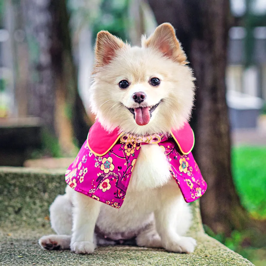 Spring Of Blossoms in Fuchsia CNY Cape