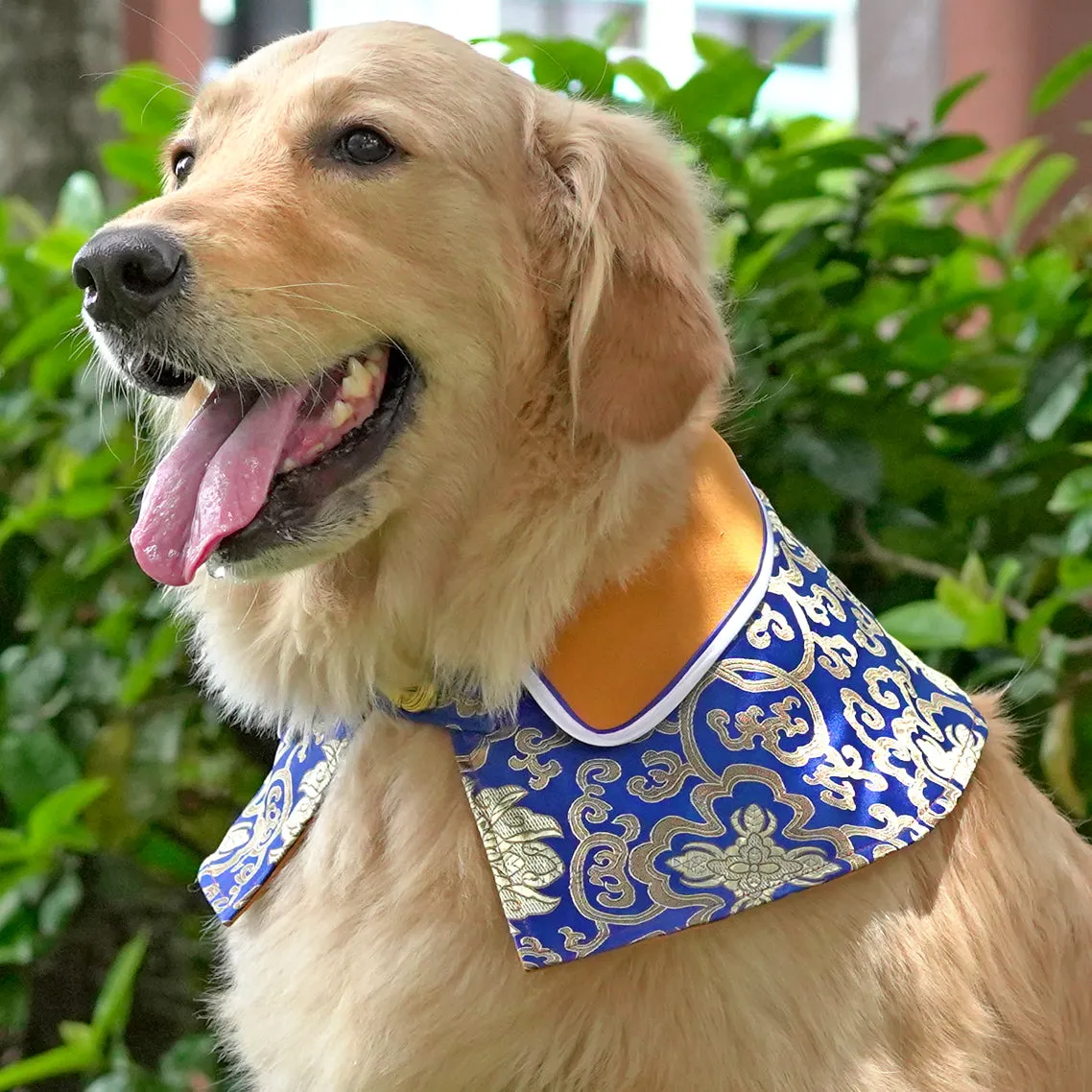 Spring Of Elegance in Medallion Egyptian Blue CNY Cape