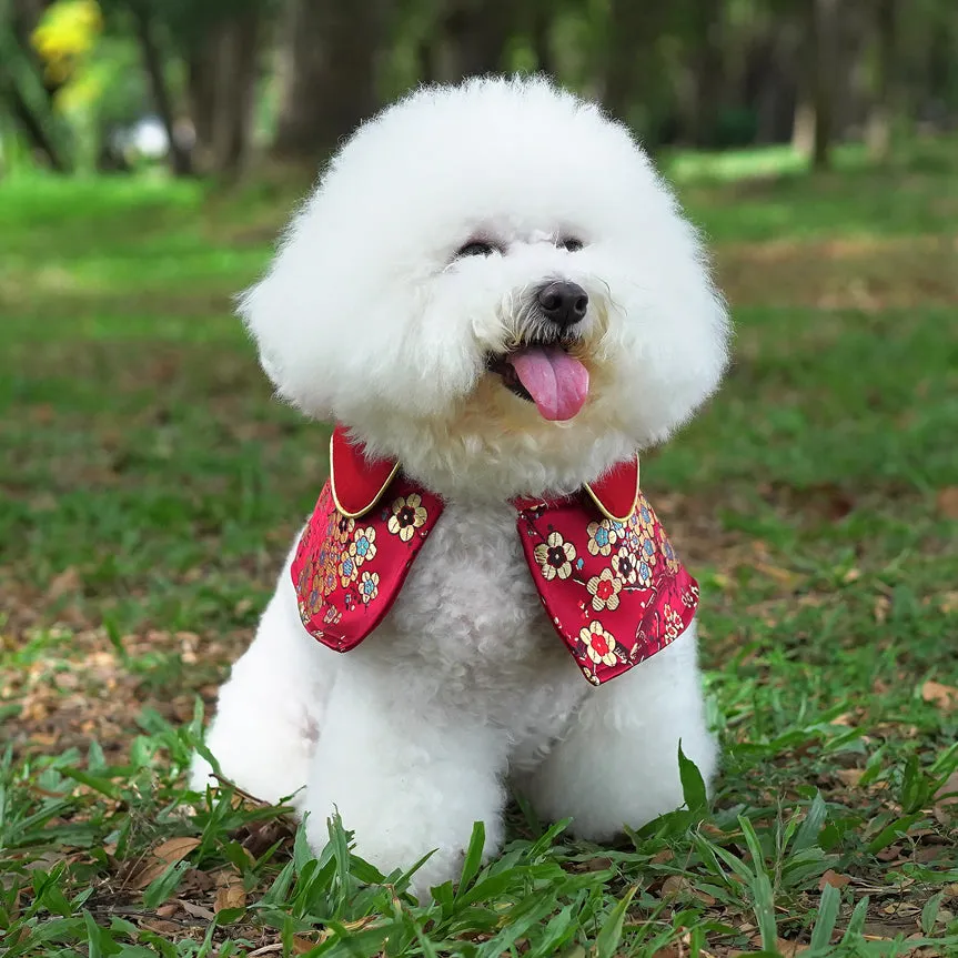 Spring Of Vitality in Garnet Gold Blossom CNY Cape