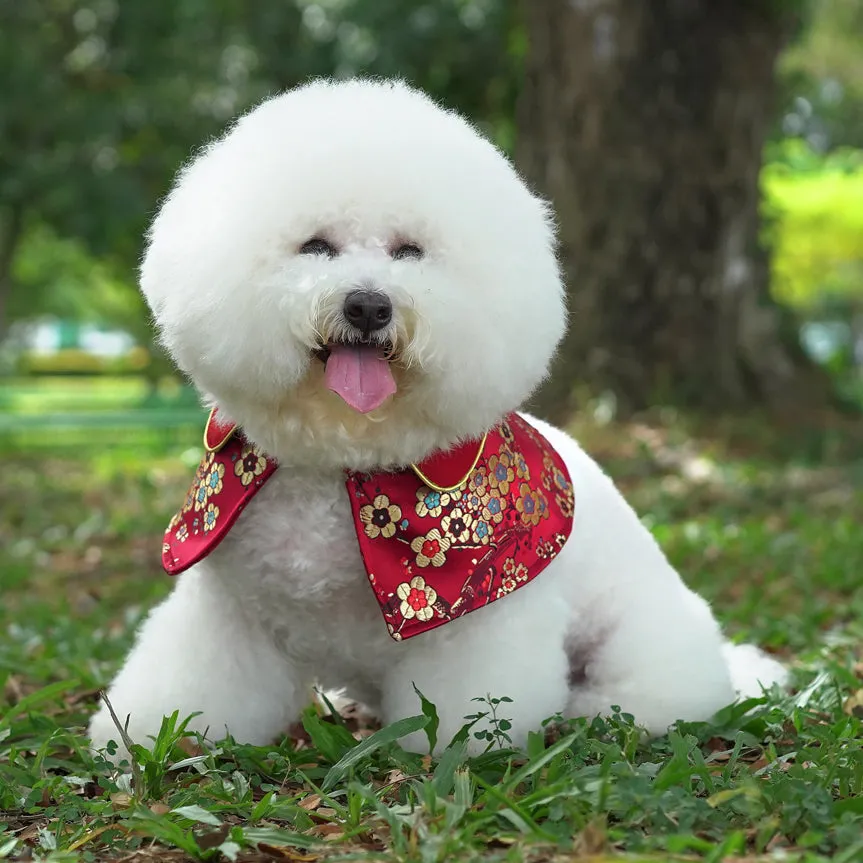 Spring Of Vitality in Garnet Gold Blossom CNY Cape