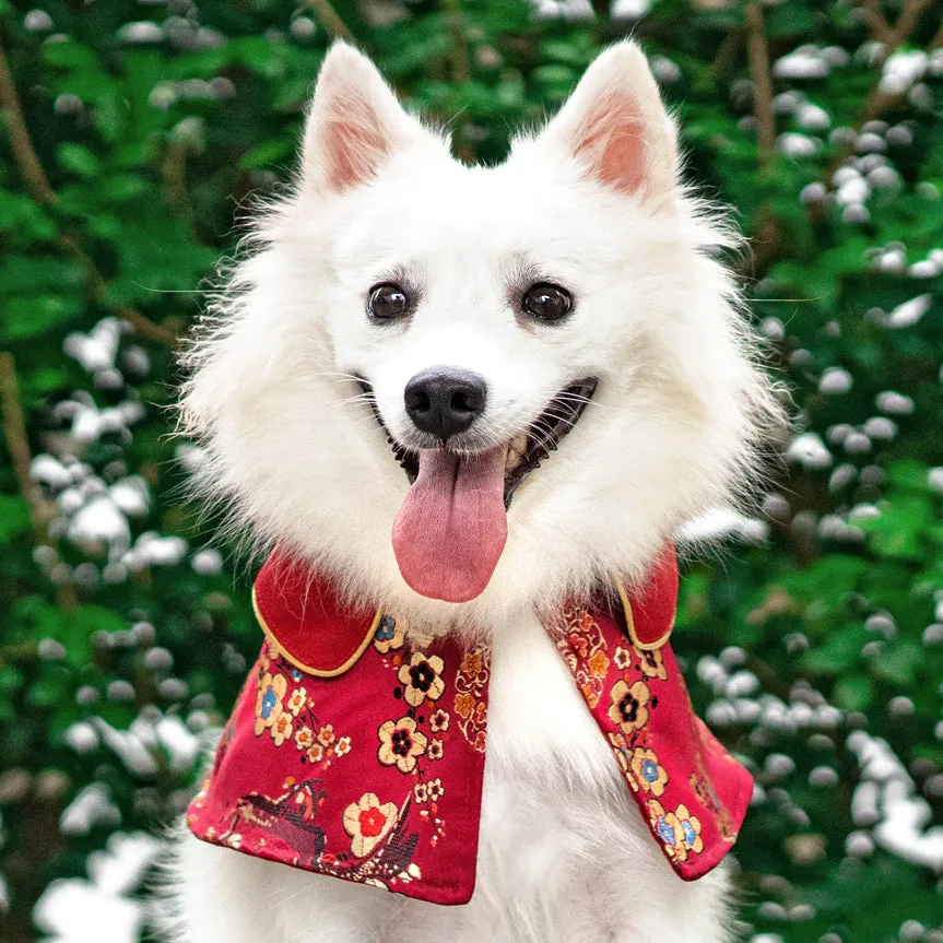 Spring Of Vitality in Garnet Gold Blossom CNY Cape