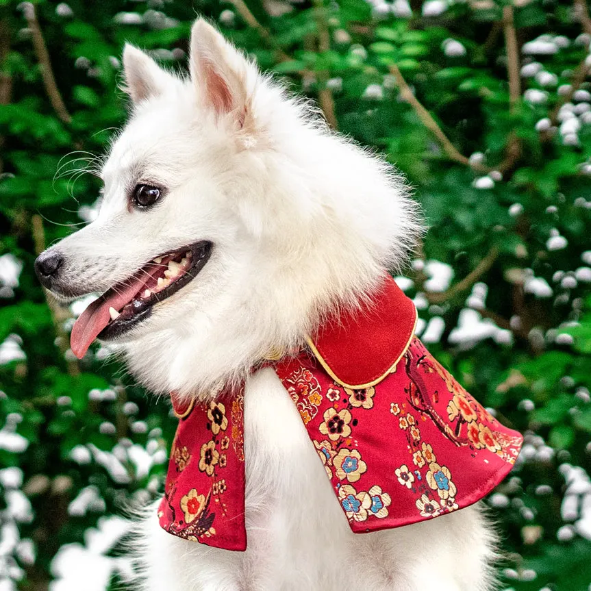 Spring Of Vitality in Garnet Gold Blossom CNY Cape