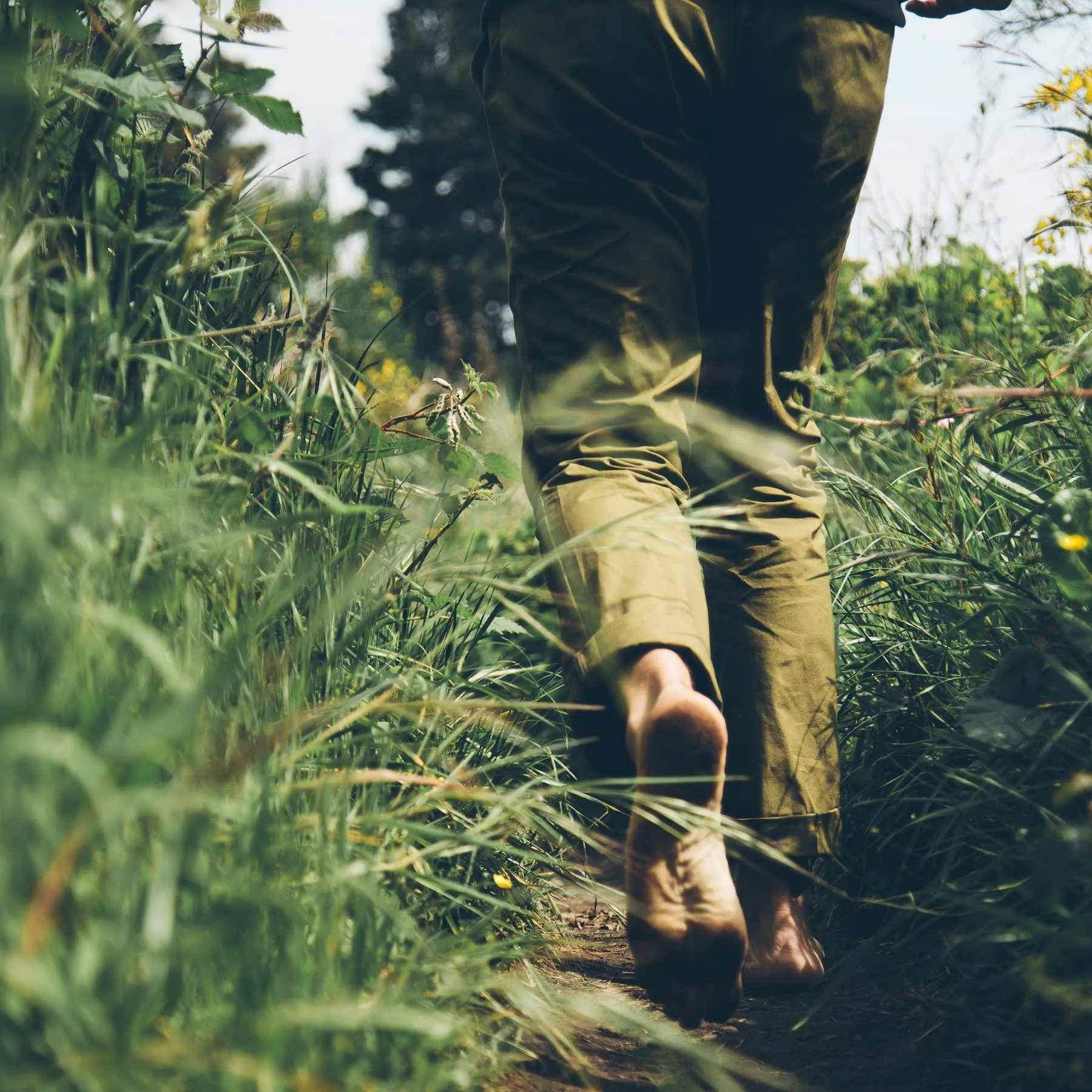 The Travel Chino in Olive