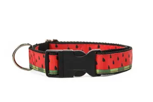 Watermelon Dog Collar