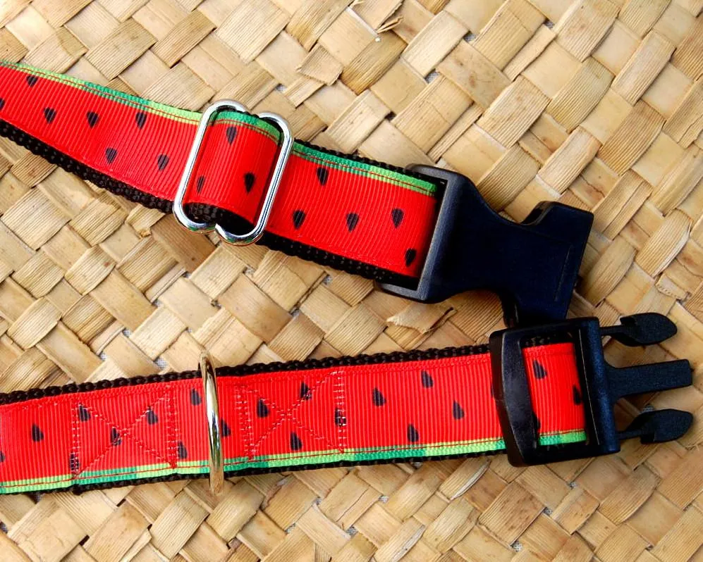 Watermelon Dog Collar